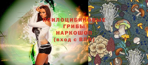 гидропоника Карталы