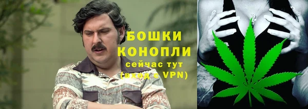 крисы Карпинск