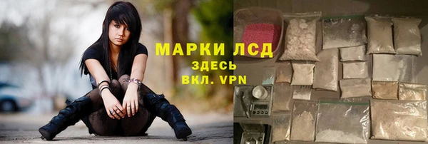 крисы Карпинск