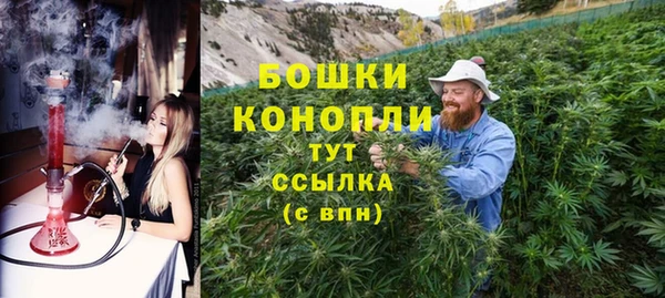 соль ск Касимов