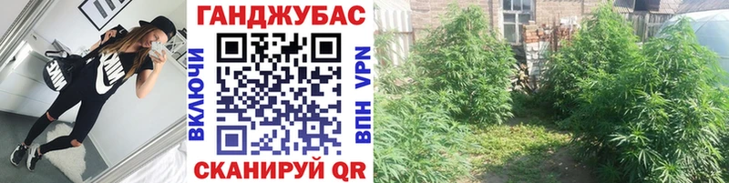 Купить  Дедовск  Бошки Шишки VHQ 